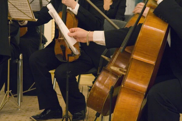 El concierto de la música clásica —  Fotos de Stock