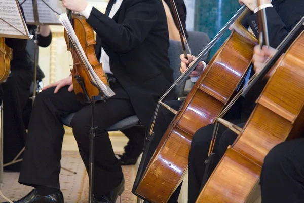 Das Konzert der klassischen Musik — Stockfoto