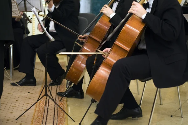 Das Konzert der klassischen Musik — Stockfoto