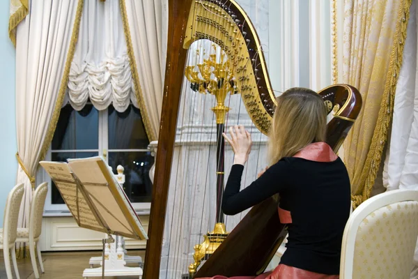 Het concert van de klassieke muziek — Stockfoto