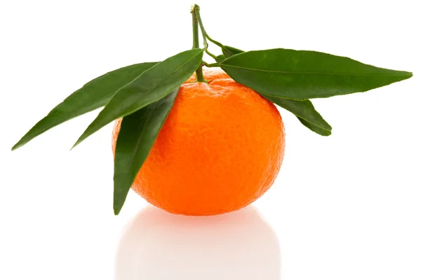 Frische ungeschälte Orangen-Mandarine Zitrusfrüchte mit grünen Blättern isoliert — Stockfoto