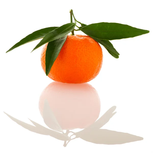 Свежий неочищенный апельсиновый мандарин цитрусовые с зелеными листьями изолированы — стоковое фото