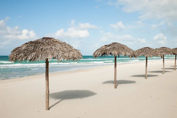 Paraguas de hojas de palma real, sombrilla en la playa de arena en Var — Foto de Stock