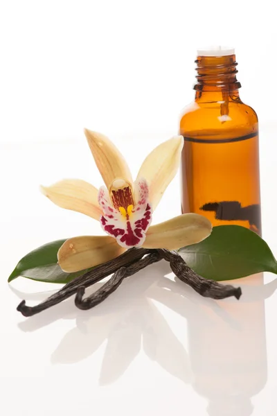Vainas de vainilla, aceite de aromaterapia y flores de orquídea aisladas en wh —  Fotos de Stock