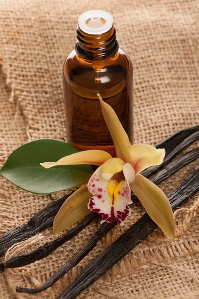 Vainas de vainilla, aceite de aromaterapia y flores de orquídea en textil —  Fotos de Stock