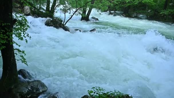 Медленное Движение Потока Белой Воды Реке После Сильного Дождя — стоковое видео
