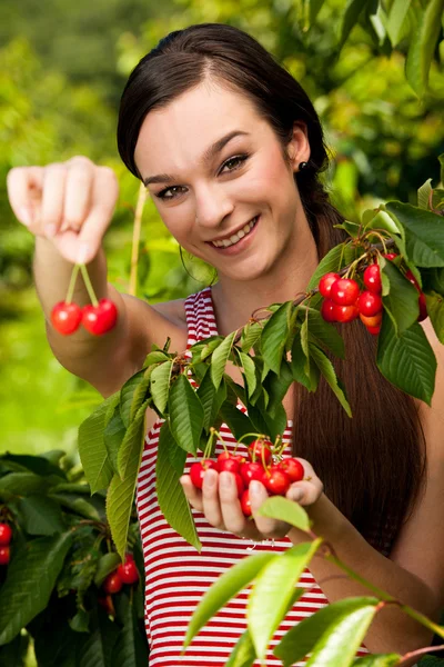 Kvinnan skörd körsbär i slutet av våren - cherry skörd — Stockfoto