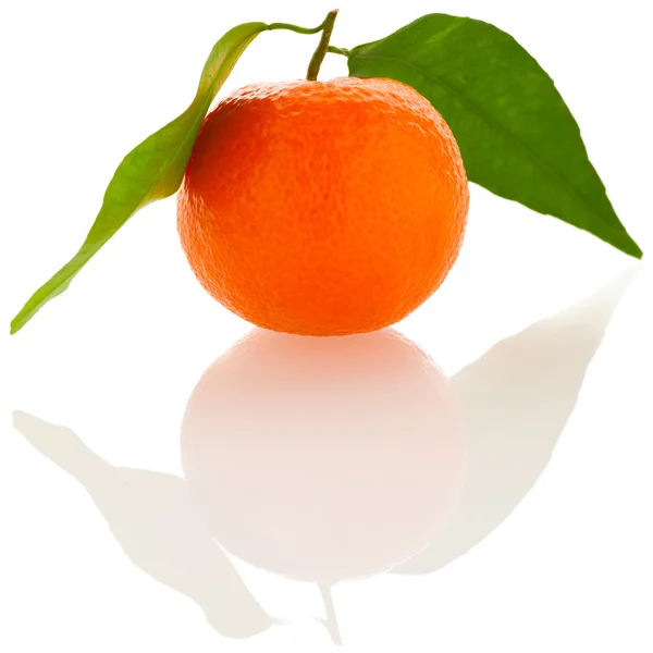 Fresh unpeeled orange mandarin citrus with green leafs isolated — Stock Photo, Image