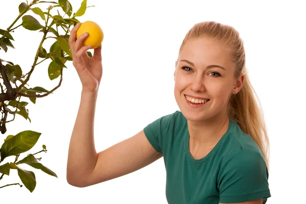 Blonde woman harvesting big, yellow lemons from organically grow — Stock Photo, Image