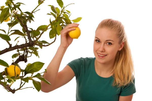 Mujer rubia cosechando grandes limones amarillos de cultivo orgánico — Foto de Stock