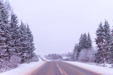 Rusya, Gagarin, 14 Ocak 2021. Öğleden sonra otomobil kış yolu Ladin ormanı boyunca ilerliyor..