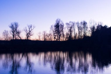 Nehirli güzel bir sonbahar parkı, günbatımında ağaçlar.