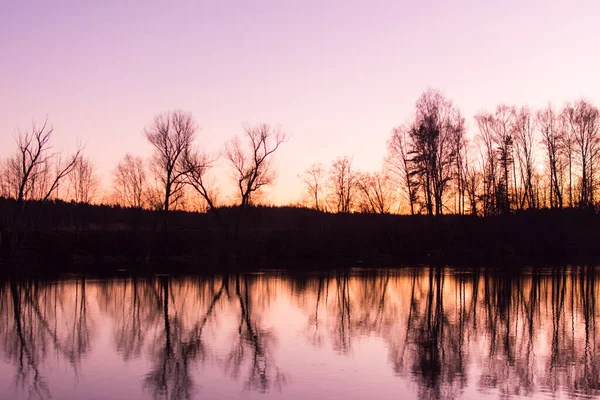 Nehirli güzel bir sonbahar parkı, günbatımında ağaçlar.