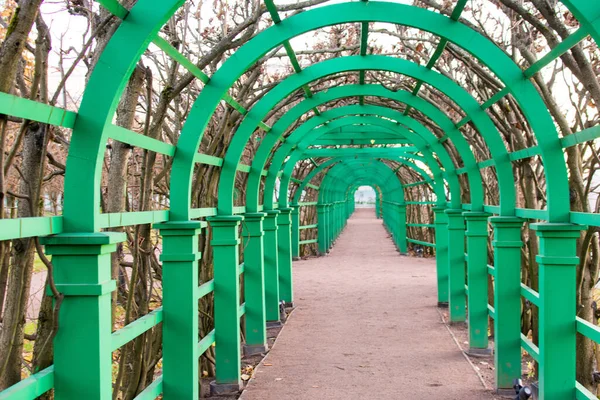 Rusya, Arkhangelskoe köyü. 7 Ekim 2020. Öğleden sonra yeşil bahçe ahşap kemeri.