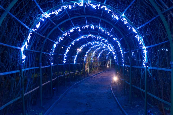 Rússia Aldeia Arkhangelskoe Outubro 2020 Arco Madeira Jardim Brilhante Noite — Fotografia de Stock