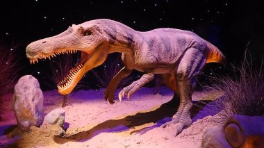 Moskova, Rusya. 9 Ocak 2014. Dinozorların sergisi.