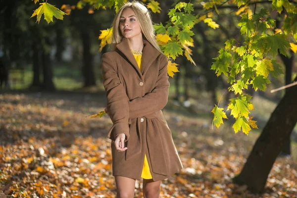 Menina Moda Bonita Com Cabelo Loiro Vestido Moderno Casaco Posando — Fotografia de Stock