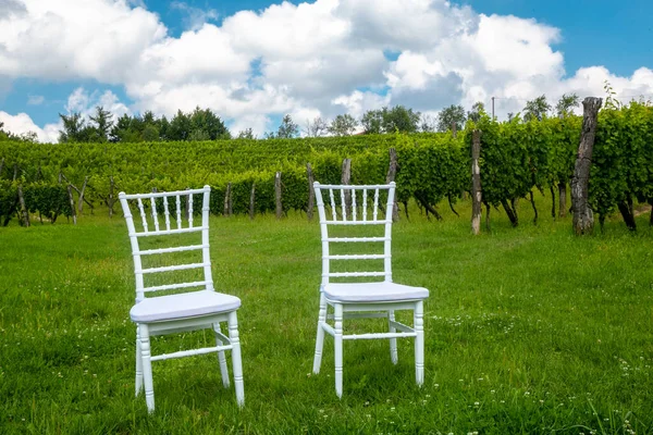 White Chairs Newlyweds Vineyard Grapes — Stock Photo, Image