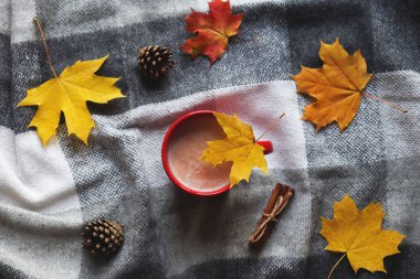 Konforlu ev konsepti. Sonbahar arkaplanı. Sonbahar akçaağaç yapraklı, kozalaklı ve tarçınlı ekose battaniyeli bir fincan kakao. Düz yatış, üst görünüm, seçici odak