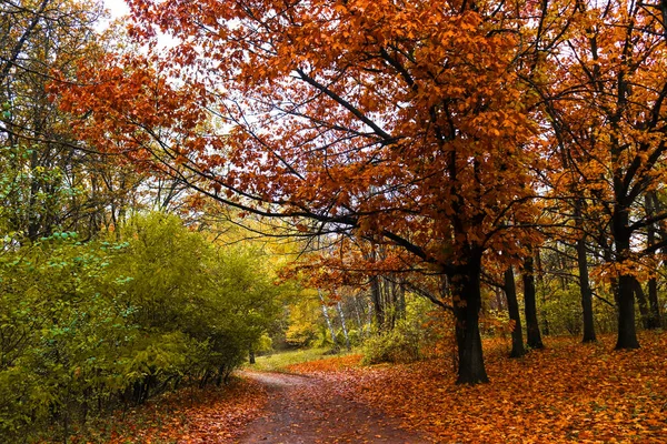 Beautiful Autumn Landscape Colorful Trees Public Park — Stock Photo, Image