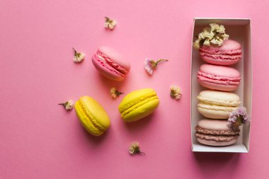 Pastel pembe arka planda Fransız kurabiyeleri. Seçici odaklanma, üst görünüm, düz yatış