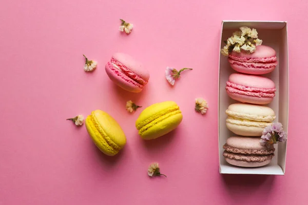 Pastel pembe arka planda Fransız kurabiyeleri. Seçici odaklanma, üst görünüm, düz yatış