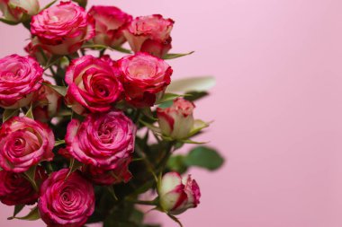 Sevgililer Günü, Anneler Günü tebrik kartı. Bulanık pembe arka planda güzel bir gül buketi. Sevgililer Günü ve aşk konsepti. Seçici odak, yakın plan