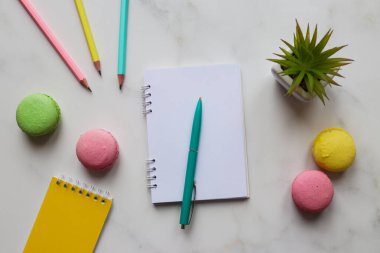 Trendy colorful workplace with office supplies, plant, and macaroons on marble background. Top view, flat lay. Education and business concept.