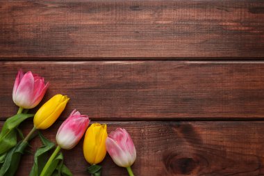 Koyu ahşap zemin üzerinde güzel lale çiçekleri ve metin için fotokopi alanı. Bahar mevsimi konsepti. Üst görünüm, düz görünüm, kopyalama alanı.