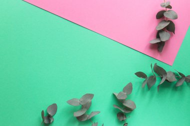 Çiçekli geometrik arka plan. Okaliptüs yaprakları akuamarin ve pembe masada. Tasarım, davet, kopyalama alanı olan kartlar için şablon