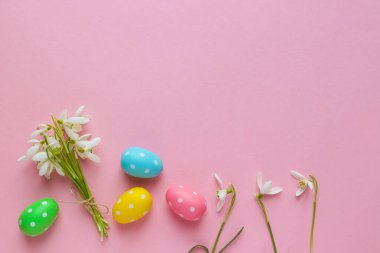 Paskalya tebrik kartı. Narin kardelen çiçekleri ve açık pembe arka planda renkli yumurtalar fotokopi alanı ile. Düz yatış, üst görünüm.
