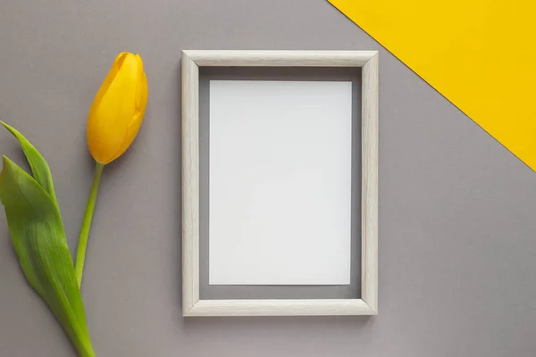 Fiore Tulipano Giallo Carta Vuota Con Cornice Legno Sfondo Geometrico — Foto Stock