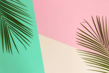 Yaz yatağı. Pembe, yeşil ve bej desenli palmiye yaprakları ve fotokopi alanı. Üst Manzara. Minimalizm, tasarım için hazırlan