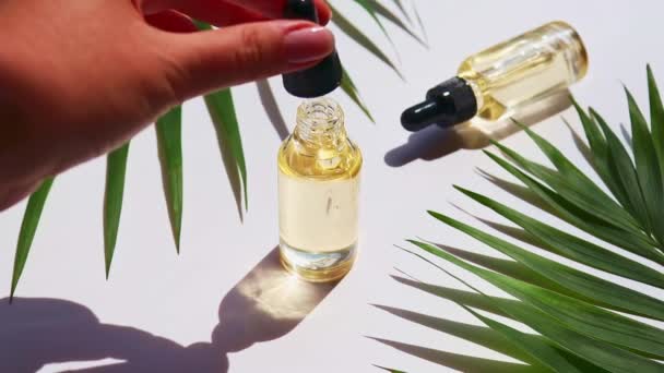 Serum yağı damlalardan damlıyor. İçinde palmiye yaprakları olan bir şişe kozmetik yağı. Sert ışık. Güzellik konsepti. Serum cilt bakımı ürünü — Stok video