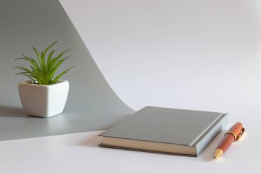 Not defteri, kalem ve bitkisi olan modern bir iş yeri. Seçici odak, uzayı kopyala. İş ve eğitim kavramı.