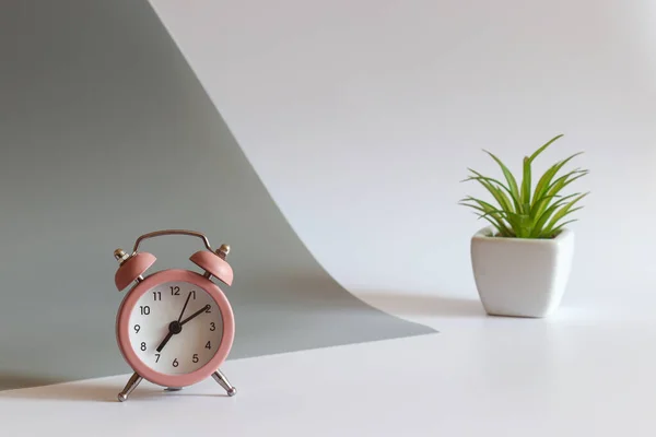 目覚まし時計と植物と現代の職場 選択的フォーカス コピースペース 朝のコンセプト — ストック写真