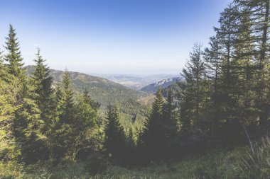 hiking trail dan tatra Dağları manzarası. Polonya. Avrupa.