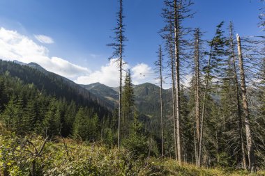 Polonya - Tatra milli parkta Tatra Dağları, Carpath parçası