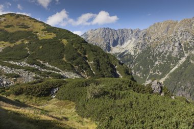 Polonya - Tatra milli parkta Tatra Dağları, Carpath parçası