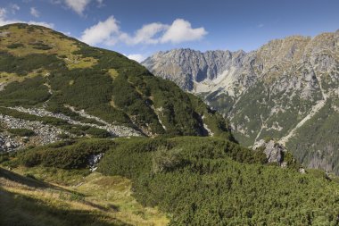 Poland - Tatra National Park in Tatra Mountains, part of Carpath clipart