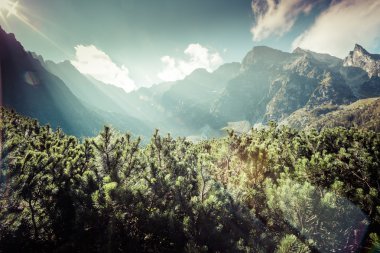 Yeşil su dağı Morskie Oko Gölü, Tatra Dağları, Polonya