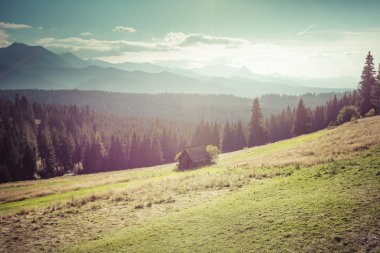 hiking trail dan tatra Dağları manzarası. Polonya. Avrupa.