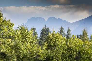 hiking trail dan tatra Dağları manzarası. Polonya. Avrupa.