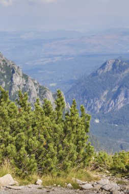 Polonya - Tatra milli parkta Tatra Dağları, Carpath parçası