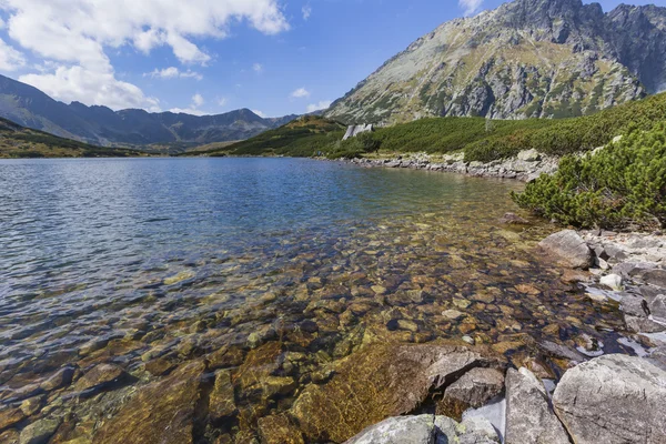 Estate in 5 laghi valle in Alta Montagna Tatra — Foto Stock