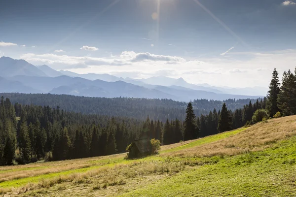 Vy över Tatrabergen från vandringsled. Polen. Europa. — Stockfoto