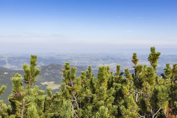 Vy över Tatrabergen från vandringsled. Polen. Europa. — Stockfoto