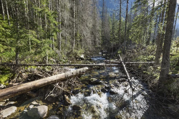 Polonia Parque Nacional de Tatra en las montañas de Tatra, parte de Carpath — Foto de Stock