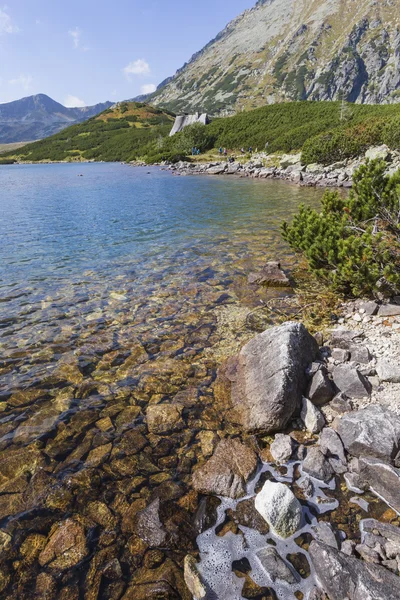 Літо в долині 5 озер, у підніжжя гір Високі Татри — стокове фото