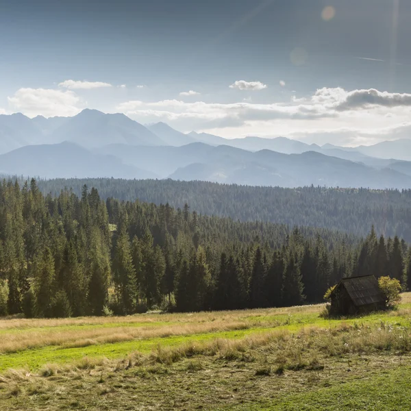 View of Tatra Mountains from hiking trail. Poland. Europe. — Stock Photo, Image